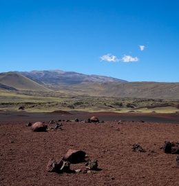Reserva La Payunia y Geoparque 